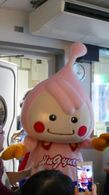 チームハギュットさん