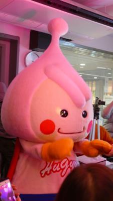 チームハギュットさん